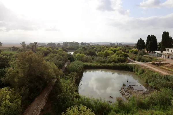 Ein Afek - nature reserve 