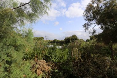 Ein Afek - nature reserve 