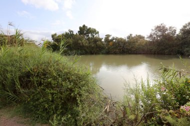 Ein Afek - nature reserve 