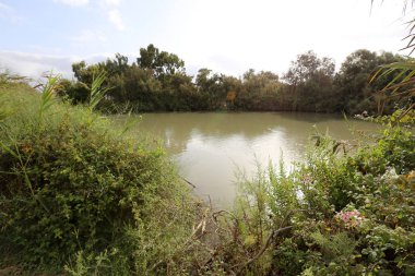 Ein Afek - nature reserve 