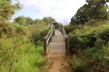 Ein Afek - nature reserve 