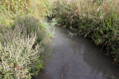 Ein Afek - nature reserve 