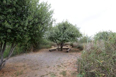 Ein Afek - nature reserve 