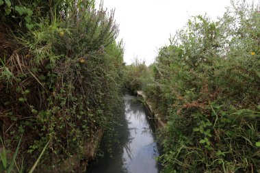 Ein Afek - nature reserve 