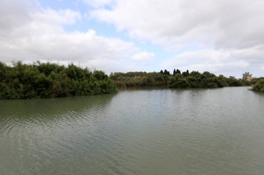 Ein Afek - nature reserve 