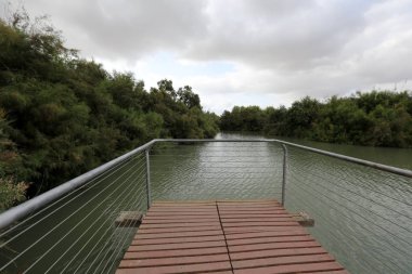 Ein Afek - nature reserve 
