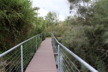 Ein Afek - nature reserve 