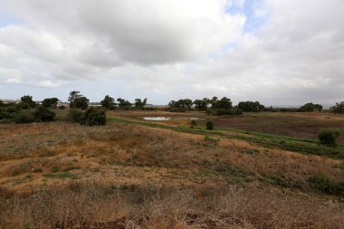 Ein Afek - nature reserve 
