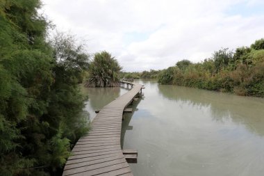 Ein Afek - nature reserve 