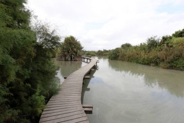 Ein Afek - nature reserve 