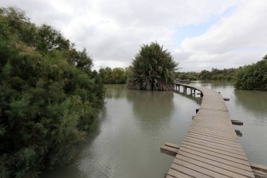 Ein Afek - nature reserve 