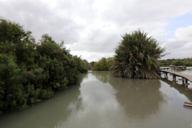Ein Afek - nature reserve 