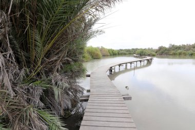 Ein Afek - nature reserve 
