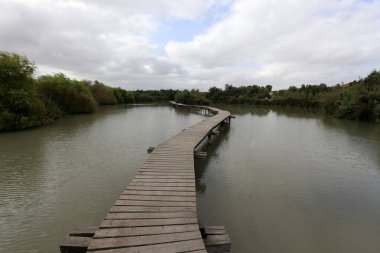 Ein Afek - nature reserve 