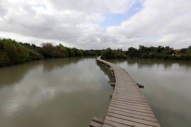 Ein Afek - nature reserve 