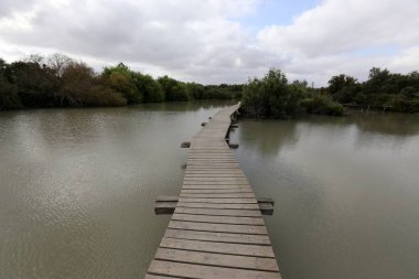 Ein Afek - nature reserve 