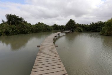 Ein Afek - nature reserve 