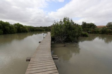 Ein Afek - nature reserve 