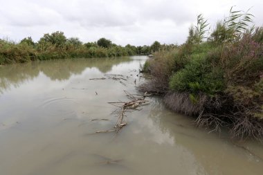 Ein Afek - nature reserve 