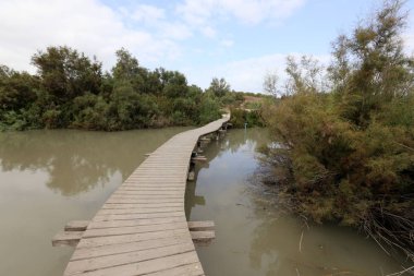 Ein Afek - nature reserve 