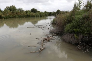 Ein Afek - nature reserve 