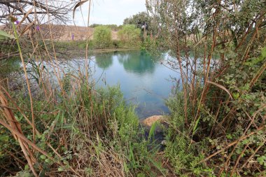 Ein Afek - nature reserve 