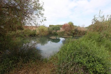 Ein Afek - nature reserve 