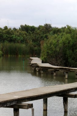 Ein Afek - nature reserve 