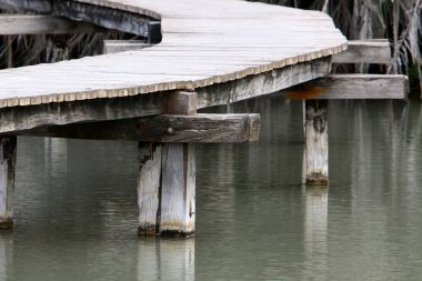 Ein Afek - nature reserve 