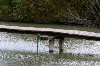 Ein Afek - nature reserve 
