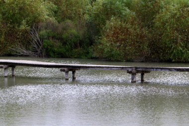 Ein Afek - nature reserve 
