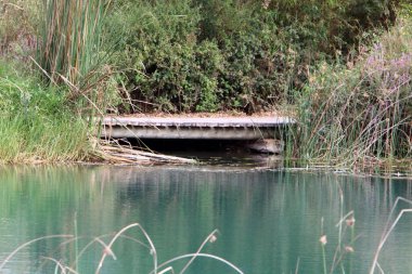 Ein Afek - nature reserve 
