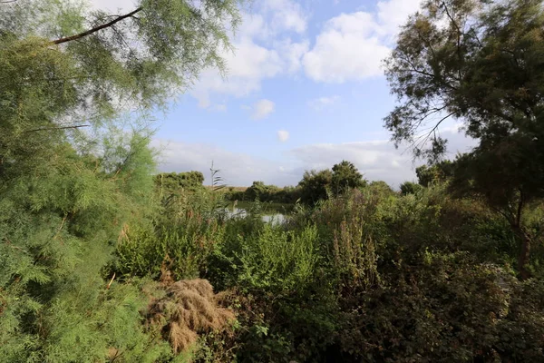 Ein Afek - nature reserve 