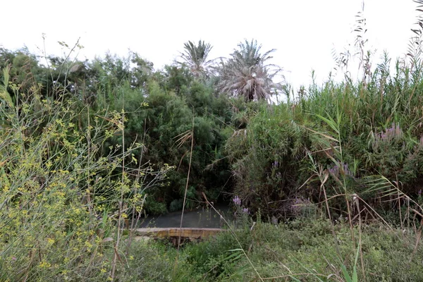 Ein Afek - nature reserve 