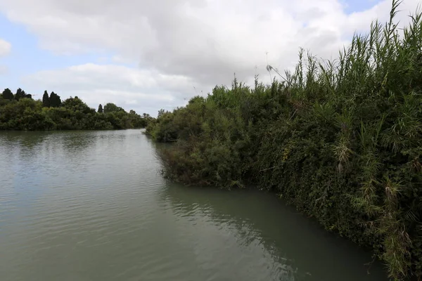 Ein Afek - nature reserve — Stock fotografie