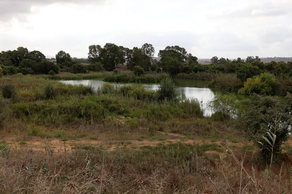 Ein Afek - nature reserve 