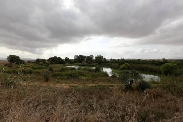 Ein Afek - nature reserve 