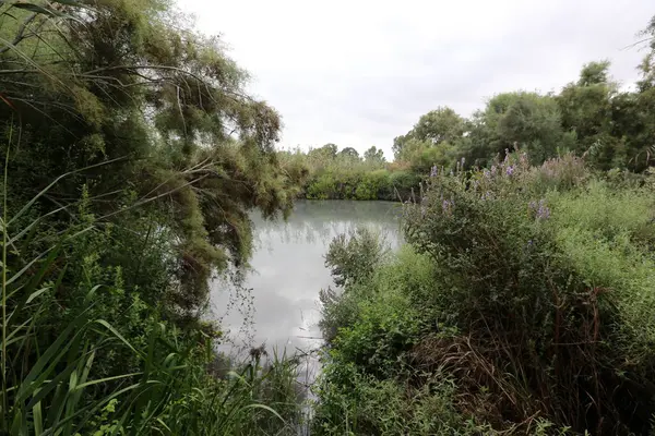 Ein Afek - nature reserve 