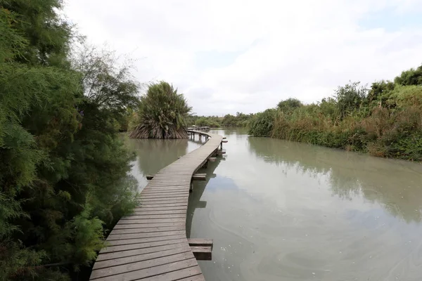 Ein Afek - nature reserve 