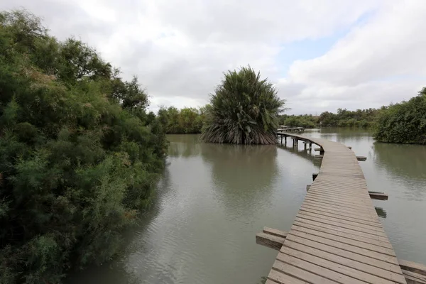 Ein Afek - nature reserve 