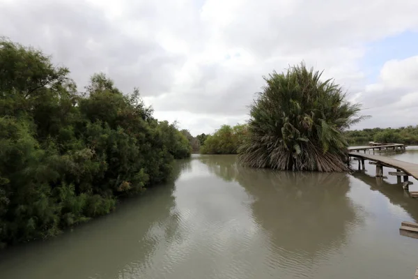 Ein Afek - nature reserve 