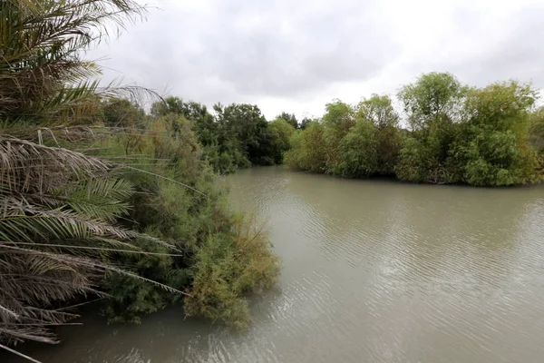 Ein Afek - nature reserve 