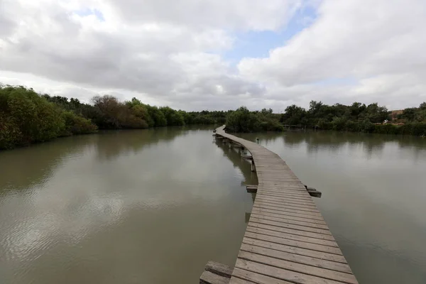 Ein Afek - riserva naturale — Foto Stock