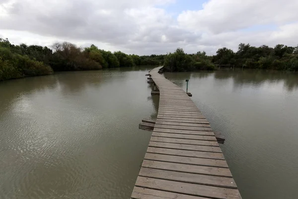 Ein Afek - nature reserve — Stock Fotó