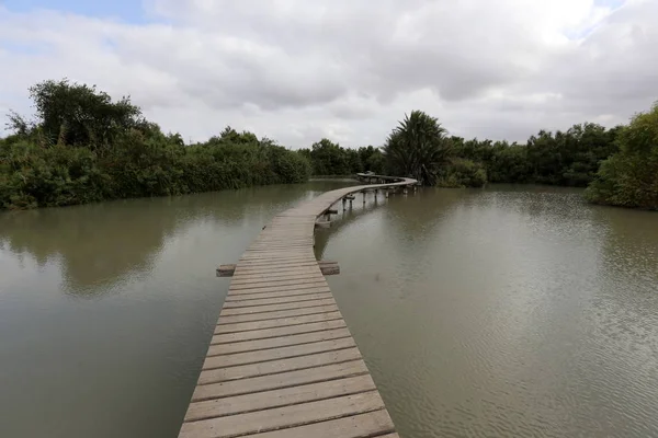 Ein Afek - nature reserve 