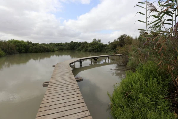 Ein Afek - nature reserve 