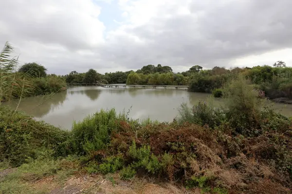 Ein Afek - nature reserve 