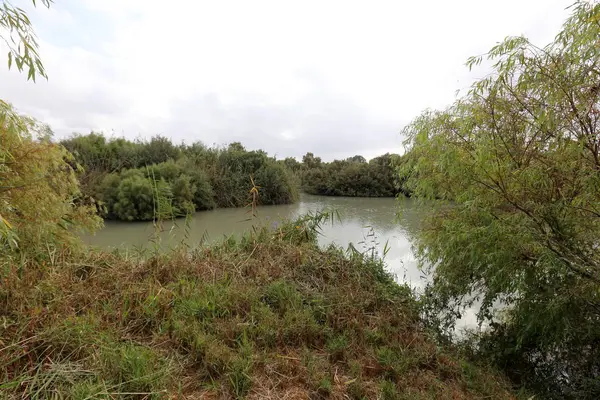 Ein Afek - nature reserve 