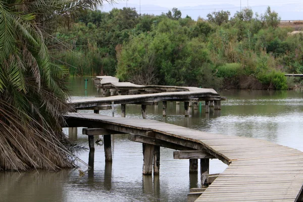 Ein Afek - reserva natural — Foto de Stock