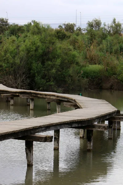 Ein Afek - reserva natural — Fotografia de Stock